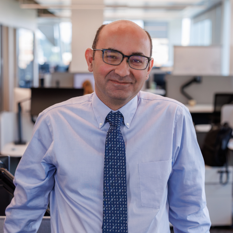 Navid Ghaffarzadegan Navid Ghaffarzadegan